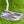 Load image into Gallery viewer, Brand New Tour Fastback 1.5 SSS w/Flojet Neck
