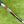 Load image into Gallery viewer, Brand New Phantom X T9 SSS w/Single Bend Shaft &amp; Yellow Baller Boy CT Cover
