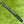 Load image into Gallery viewer, Brand New Phantom X T9 SSS w/Single Bend Shaft &amp; Yellow Baller Boy CT Cover
