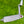 Load image into Gallery viewer, Brand New Timeless Tourtype SSS w/No Alignment Aid (Naked)
