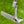 Load image into Gallery viewer, Brand New Timeless Tourtype SSS w/No Alignment Aid (Naked)

