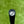 Load image into Gallery viewer, Brand New Timeless Tourtype SSS w/No Alignment Aid (Naked)
