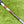 Load image into Gallery viewer, Brand New 2026 Phantom X T7.5 SSS w/Chain Link Carbon Insert

