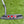 Load image into Gallery viewer, Brand New Deep Mill Tour Select Newport 2 in Tour Black Finish w/Top Line Alignment Aid
