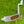 Load image into Gallery viewer, Unreleased Tour Prototype Teryllium Insert Newport Studio Style
