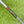 Load image into Gallery viewer, Unreleased Tour Prototype Teryllium Insert Newport Studio Style
