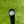 Load image into Gallery viewer, Unreleased Tour Prototype Teryllium Insert Newport Studio Style
