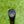 Load image into Gallery viewer, Tour Concept 2.5 (Newport 2.5) in Black Finish w/GSS Insert
