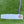 Load image into Gallery viewer, Counterbalance (Long Putter, 38.25") Double Bend Phantom X T11 SSS w/Black Shaft
