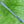 Load image into Gallery viewer, Counterbalance (Long Putter, 38.25") Double Bend Phantom X T11 SSS w/Black Shaft
