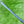 Load image into Gallery viewer, Counterbalance (Long Putter, 38.25") Double Bend Phantom X T11 SSS w/Black Shaft

