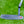 Load image into Gallery viewer, Brand New Naked (No Alignment Aid) Black Masterful Tourtype SSS
