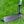 Load image into Gallery viewer, Brand New Naked (No Alignment Aid) Black Masterful Tourtype SSS
