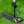 Load image into Gallery viewer, Brand New Naked (No Alignment Aid) Black Masterful Tourtype SSS
