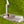 Load image into Gallery viewer, Timeless Tourtype (TT) SSS w/Large Single Milled Tour Bomb &amp; "Titleist" Script @ 350g
