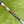 Load image into Gallery viewer, Brand New GSS 009m "Paint Brush" w/Tour Bombs &amp; Sea Bubble Blue Paint Fill
