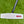 Load image into Gallery viewer, Brand New Tour Phantom T5 OC SSS w/Black Shaft &amp; USA Scotty Dog Circle T Headcover
