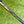 Load image into Gallery viewer, Brand New Tour Phantom T5 OC SSS w/Black Shaft &amp; USA Scotty Dog Circle T Headcover
