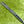 Load image into Gallery viewer, Brand New Tour Phantom T5 OC SSS w/Black Shaft &amp; USA Scotty Dog Circle T Headcover
