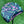 Load image into Gallery viewer, Center Shaft Mid Round Circle T Pink/Camo Tour Bulldog Headcover
