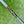 Load image into Gallery viewer, Made for the Tour Phantom T7.2 w/Plumbers Neck &amp; Chain Link Carbon Insert
