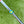 Load image into Gallery viewer, Brand New 2013 Scotty Cameron Limited Edition My Girl Fastback
