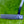 Load image into Gallery viewer, Tour GOLO 6.5 SSS in Black Finish w/Welded Flojet Neck &amp; Purple Paint Fill
