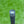 Load image into Gallery viewer, Phantom X T9.5 SSS w/Top Line Arrow Alignment &amp; Flojet Neck
