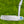 Load image into Gallery viewer, Brand New "Vault" Exclusive, "S.C.M." 009m SSS Mid Slant Fancy Back

