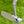 Load image into Gallery viewer, Brand New "Vault" Exclusive, "S.C.M." 009m SSS Mid Slant Fancy Back
