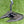 Load image into Gallery viewer, Tour Phantom X T7.2 in Black Finish w/Matching Green Tour Grip &amp; Headcover

