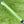 Load image into Gallery viewer, Tour Phantom X T7.2 in Black Finish w/Matching Green Tour Grip &amp; Headcover
