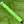 Load image into Gallery viewer, Tour Phantom X T7.2 in Black Finish w/Matching Green Tour Grip &amp; Headcover
