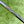 Load image into Gallery viewer, Unreleased Tour Phantom T11R (Rounded Edges) OC (On Center) SSS w/Black Shaft
