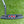 Load image into Gallery viewer, Brand New Tour Studio Style Newport Plus in Black Finish

