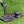 Load image into Gallery viewer, Brand New Tour Studio Style Newport Plus in Black Finish
