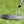 Load image into Gallery viewer, Brand New Fully BLACKED OUT Tour Rat 1 SSS
