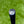 Load image into Gallery viewer, Brand New Chromatic Bronze Tour Newport (TNP) w/GSS Insert &amp; Black Shaft
