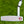 Load image into Gallery viewer, Brand New Phantom X T5.2 w/*Welded Neck* and Tour Black Shaft
