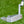 Load image into Gallery viewer, Brand New Phantom X T5.2 w/*Welded Neck* and Tour Black Shaft
