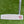 Load image into Gallery viewer, Made for the Tour Phantom T5 w/Single Bend Neck &amp; Top Line Alignment Aid
