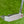 Load image into Gallery viewer, Made for the Tour Phantom T5 w/Single Bend Neck &amp; Top Line Alignment Aid
