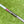 Load image into Gallery viewer, Made for the Tour Phantom T5 w/Single Bend Neck &amp; Top Line Alignment Aid
