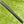Load image into Gallery viewer, Made for the Tour Phantom T5 w/Single Bend Neck &amp; Top Line Alignment Aid
