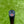 Load image into Gallery viewer, Made for the Tour Phantom T5 w/Single Bend Neck &amp; Top Line Alignment Aid
