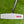 Load image into Gallery viewer, Brand New Tour Phantom T5 OC w/Black Shaft &amp; Pink Camo Circle T Headcover
