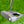 Load image into Gallery viewer, Tour Custom Phantom T9R OC SSS in Matte Bronze Finish w/Tour Bomb &amp; Proto Scotty Shaft
