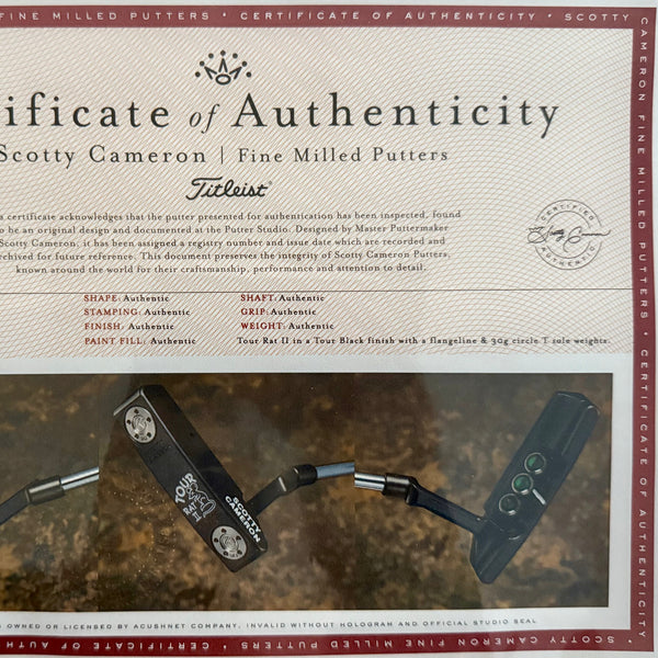 Brand New Black Tour Rat 2 SSS w/Green/White Paint Fill