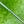 Load image into Gallery viewer, Tour Custom Phantom T9R OC SSS in Matte Bronze Finish w/Tour Bomb &amp; Proto Scotty Shaft
