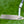 Load image into Gallery viewer, Chrome Bronze Timeless (TT) SSS w/3x Hot Head Harry Stamping &amp; Black Tour Shaft
